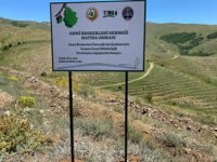 Gemi Brokerleri Derneği’nden 15. yılda hatıra ormanı