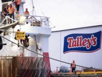 Greenpeace Talley’s gemisini limandan çıkarmadı