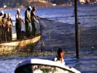 Balıkçılık sektöründe tayfa sıkıntısı yaşanıyor