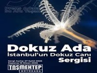 İstanbul’un Dokuz Canı" su altı fotoğraf sergisi açıldı