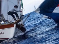 The Bodrum Cup’da tarihi rotada 14 millik mücadele