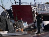 Egeli balıkçılar, tayfa sıkıntısı yaşıyor!