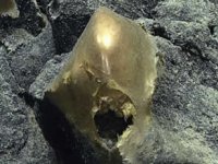 Okyanusun dibinde altın rengi gizemli cisim!