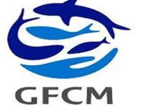 Türkiye, GFCM başkanlık görevine getirildi