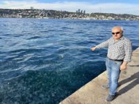 Üsküdar sahili denizanalarıyla kaplandı