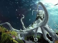 Gizemli ahtapot 40 yıl sonra yeniden görüntülendi