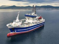 Norse, VESTLINERİ yenileme çalışmalarına başladı