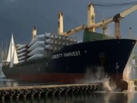 Marmaris'te dev kargo gemisi iskeleye çarptı!