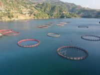 Su ürünleri avcılığı sözleşmeli üretim kapsamında