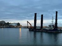 Kurucaşile Limanı'nda tarama çalışmaları başladı