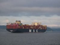 kocaeli MSC Türkiye'yi ağırlamaya hazırlanıyor