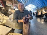 Atlas Okyanusu'ndan Mersin'e kadar geldi