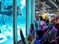 Boot Düsseldorf’ta büyük buluşmaya saylı günler kaldı