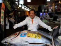 Tokyo’da mavi yüzgeçli orkinos 3,24 milyon dolara satıldı