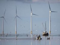 İngiltere ve 9 AB ülkesinden dev deniz üstü rüzgar tarlası projesi