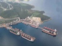 Habaş’ın Liman Geri Hizmet Sahası ormana sıçradı