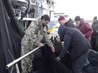 Karadeniz’de hamsi umudu tükendi! Tekneler paydos ediyor