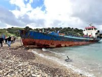 Urla Demircili Koyu için seferberlik