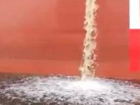 Yalova’da denizi kirleten tankere ceza yok!