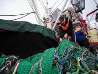 Ege’de hava koşulları balıkçılığı vurdu