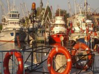 Büyükşehir Ereğli Limanı için ihale açtı