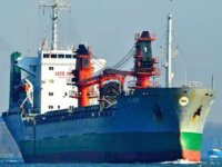 Romanya’da tutuklanan Lily-Ha Aliağa'ya satıldı