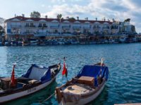 Foça'da Yerel Balık Festivali başlıyor