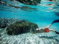 Bodrum'un sualtı hayatı tehlikede!