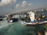 Artan akaryakıt fiyatları balıkçıları çıldırttı, limanı kapattılar