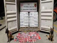 İstanbul'da Panama bayraklı gemide 106 kilo kokain ele geçirildi