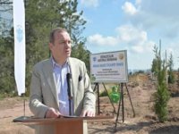 Denizciler 22 bin fidanı toprakla buluşturdu