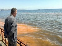 Tekirdağ sahilinde korkutan görüntü! Uzmanlardan açıklama var