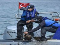 Aliağa'da ahtapot tuzakları imha edildi!