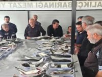 Didim’de balık mezatı yeniden başladı