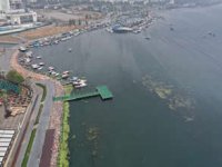 İZ-AFED’den İzmir Körfezi için 8 maddelik acil eylem planı