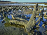 Denizlerin derinliklerinde kayıp kıta Doggerland keşfedildi