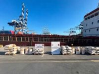 Ambarlı Limanı'nda 3 ton uyuşturucu yakalandı