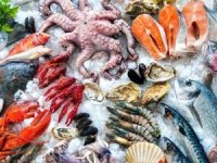 2. Deniz Ürünleri Festivali, Marmaris’te yapılacak!