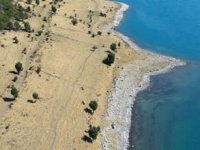 Van Gölü git gide tarım alanına dönüşüyor