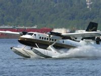 Seabird denizden kalkıp denize inecek