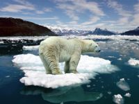 “Son 60 yılda sürekli bir küresel ısınma olduğu izlenimi” yaratıldı