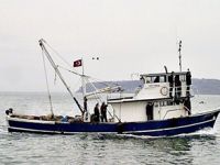 Adalar'da balık talanına son verilsin