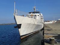 Fatsa Limanı'na demirleyen gemi sayısı her yıl yükseliyor