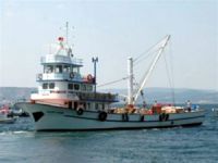 Didimli balıkçıların trol isyanı!