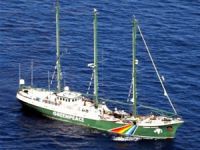 Hindistan Hükümeti, Greenpeace hesaplarını dondurdu