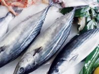 Balıkçılar avlanmayı bıraktı, tezgahları çiftlik balıkları doldurdu