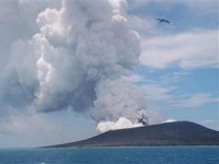 Dünyanın en genç adası henüz iki haftalık