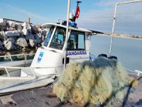 Beyşehir Gölü'ndeki yasak ağlar su kuşlarıyla dolmuş