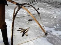 Murat Nehri’nde balta ve dirgenle balık avı