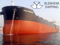 CAFIMA Holding'in armatörlük şirketi Blenheim'in filosu, banka borcu yüzünden satıldı